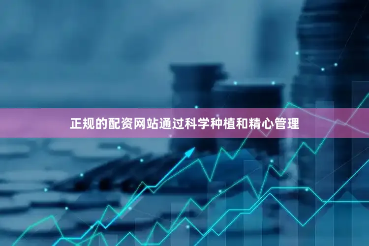 正规的配资网站通过科学种植和精心管理