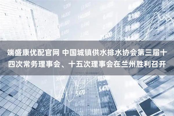 端盛康优配官网 中国城镇供水排水协会第三届十四次常务理事会、十五次理事会在兰州胜利召开