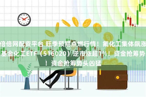 倍倍网配资平台 旺季预期点燃行情！氟化工集体飙涨，华宝基金化工ETF（516020）逆市涨超1%！资金抢筹势头凶猛
